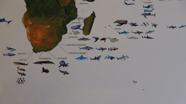 Diving Calendar - Image 7
